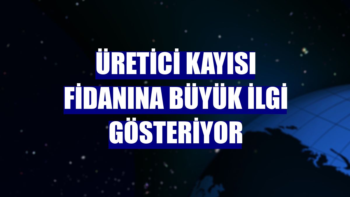 Üretici kayısı fidanına büyük ilgi gösteriyor