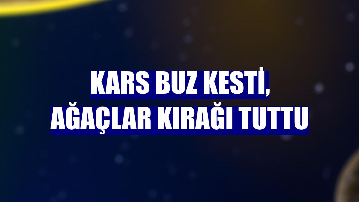 Kars buz kesti, ağaçlar kırağı tuttu