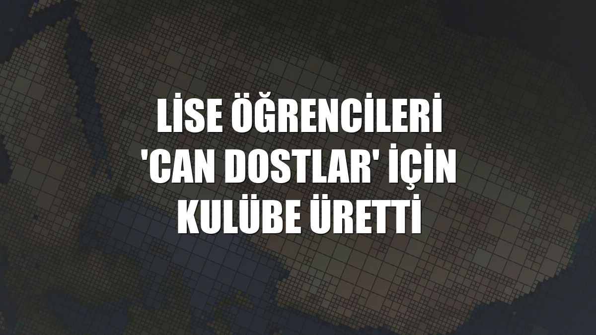 Lise öğrencileri 'can dostlar' için kulübe üretti