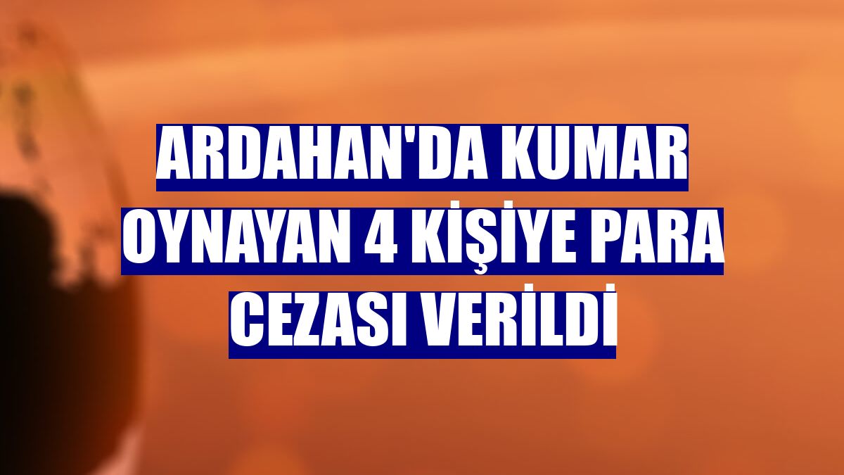 Ardahan'da kumar oynayan 4 kişiye para cezası verildi