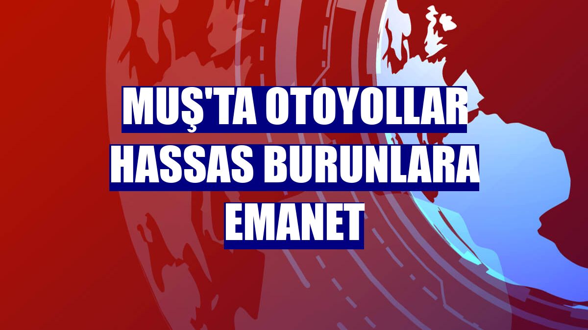 Muş'ta otoyollar hassas burunlara emanet