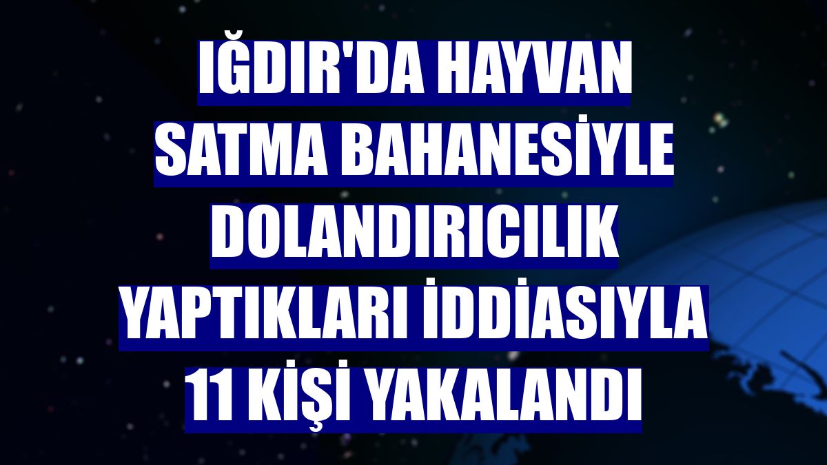 Iğdır'da hayvan satma bahanesiyle dolandırıcılık yaptıkları iddiasıyla 11 kişi yakalandı