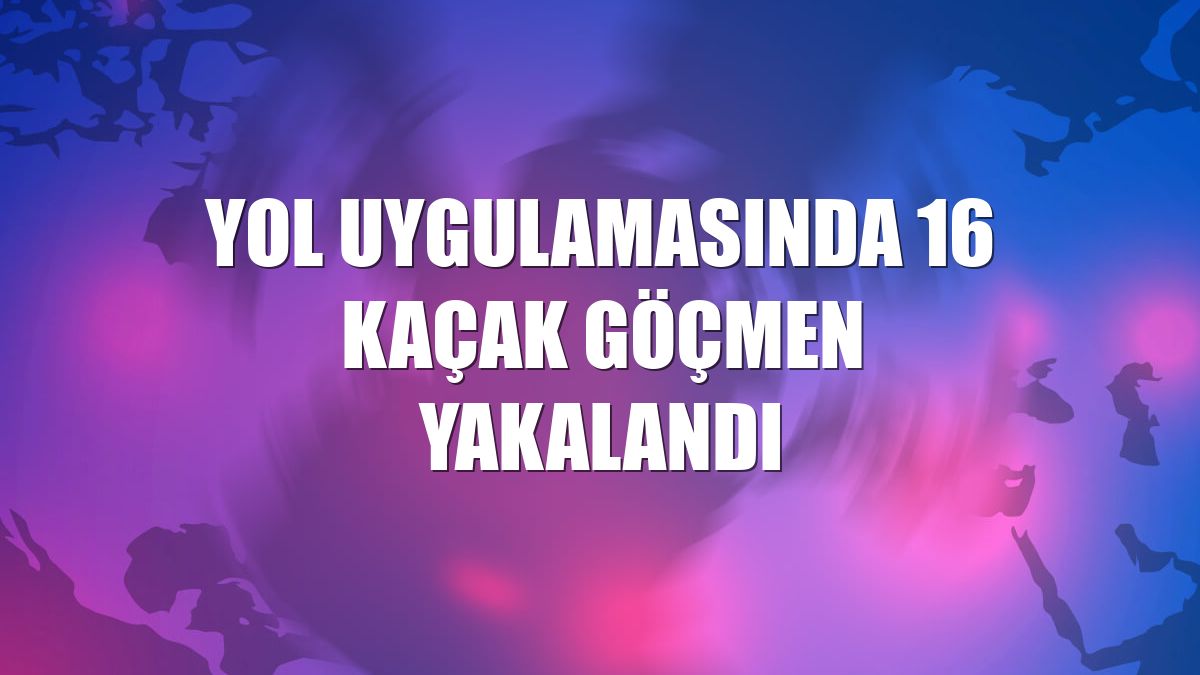 Yol uygulamasında 16 kaçak göçmen yakalandı