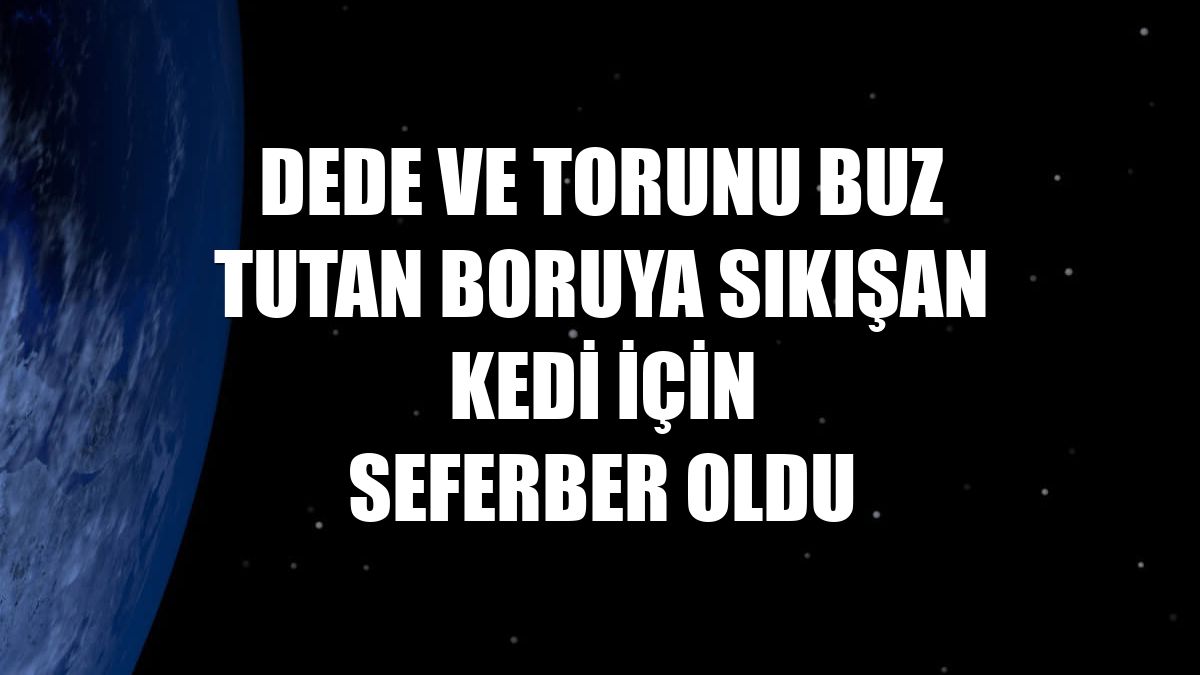 Dede ve torunu buz tutan boruya sıkışan kedi için seferber oldu