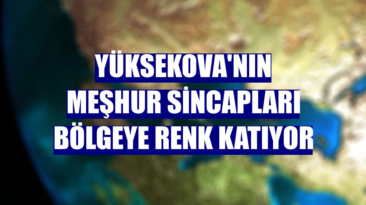 Yüksekova'nın meşhur sincapları bölgeye renk katıyor