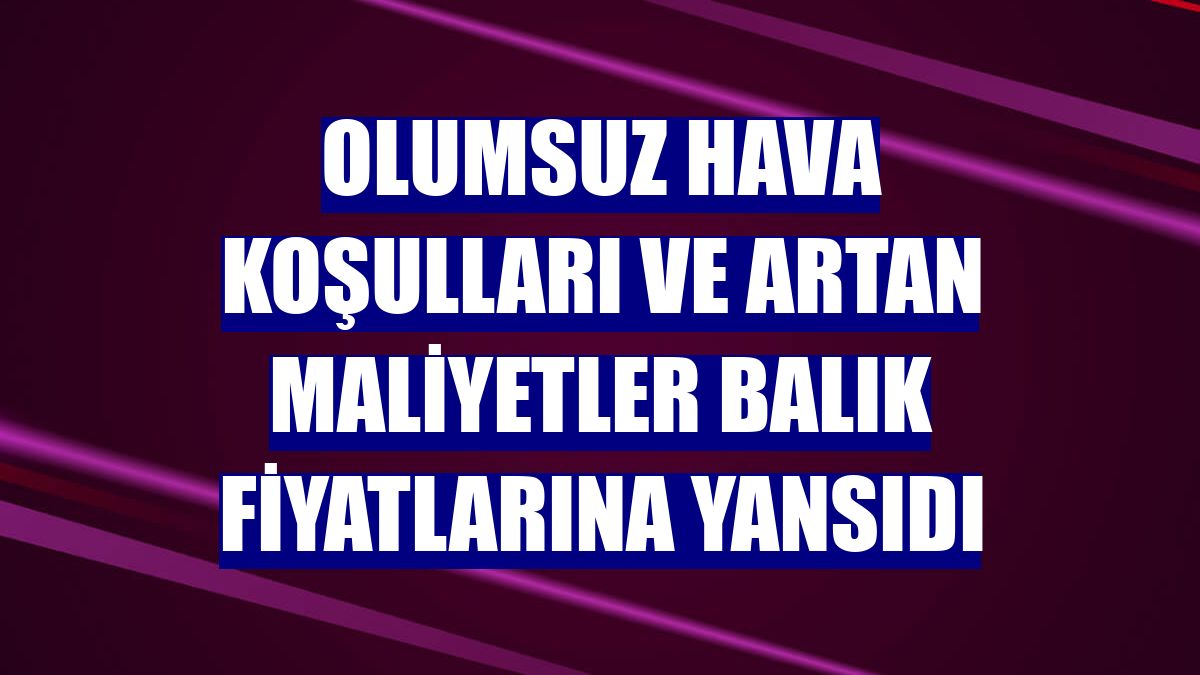 Olumsuz hava koşulları ve artan maliyetler balık fiyatlarına yansıdı