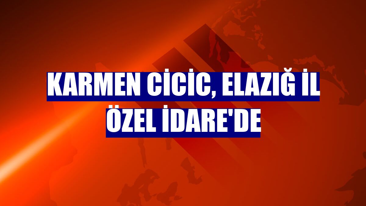Karmen Cicic, Elazığ İl Özel İdare'de