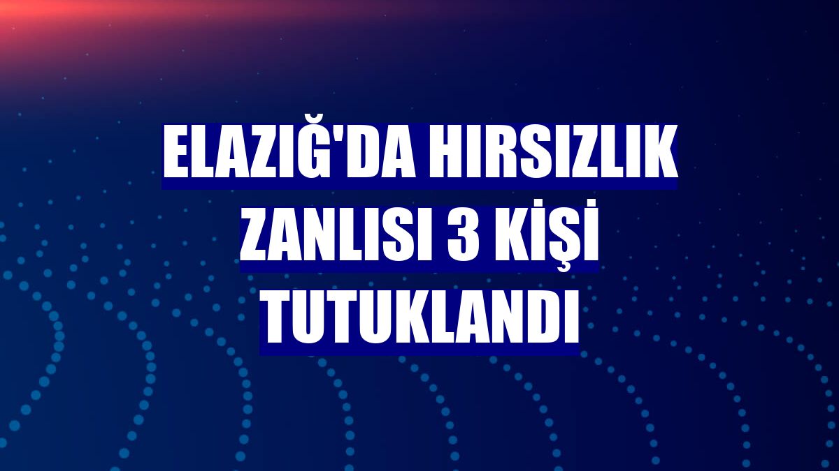 Elazığ'da hırsızlık zanlısı 3 kişi tutuklandı