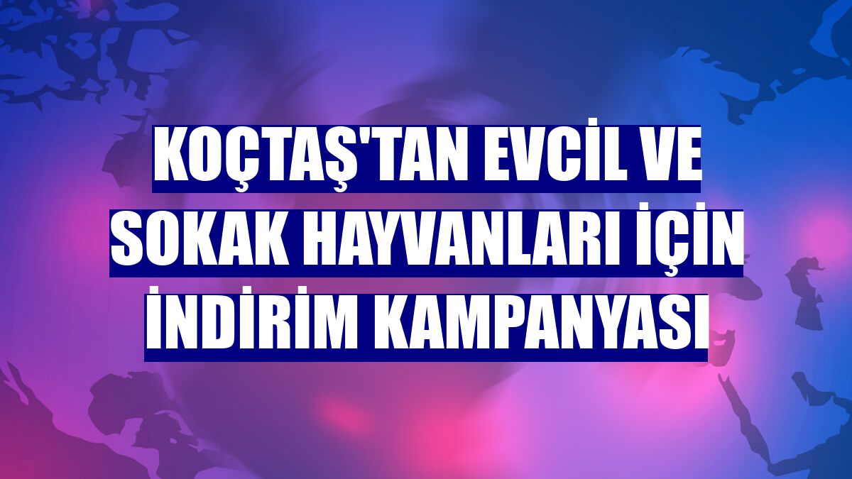 Koçtaş'tan evcil ve sokak hayvanları için indirim kampanyası