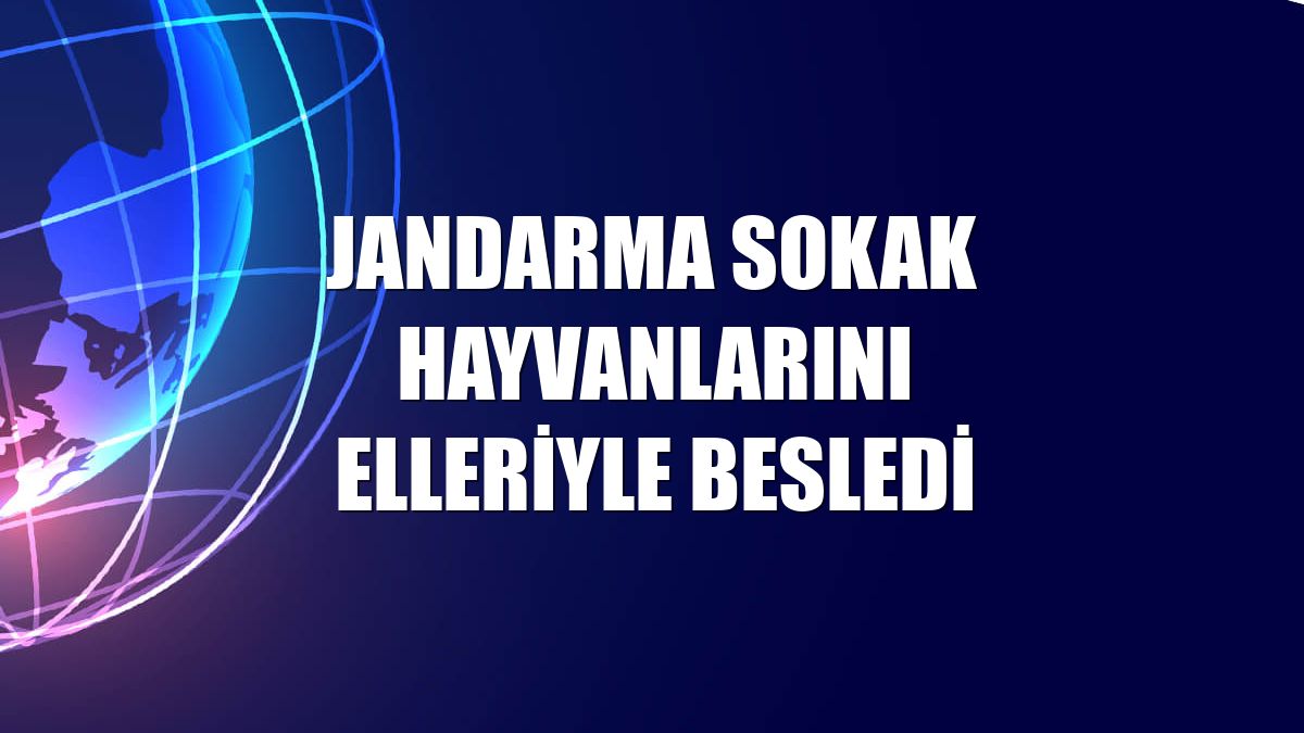 Jandarma sokak hayvanlarını elleriyle besledi