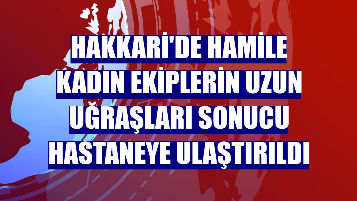 Hakkari'de hamile kadın ekiplerin uzun uğraşları sonucu hastaneye ulaştırıldı