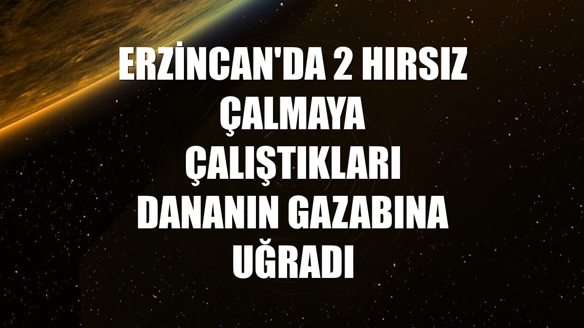Erzincan'da 2 hırsız çalmaya çalıştıkları dananın gazabına uğradı