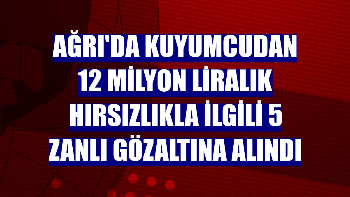 Ağrı'da kuyumcudan 12 milyon liralık hırsızlıkla ilgili 5 zanlı gözaltına alındı