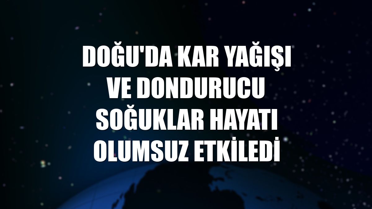 Doğu'da kar yağışı ve dondurucu soğuklar hayatı olumsuz etkiledi