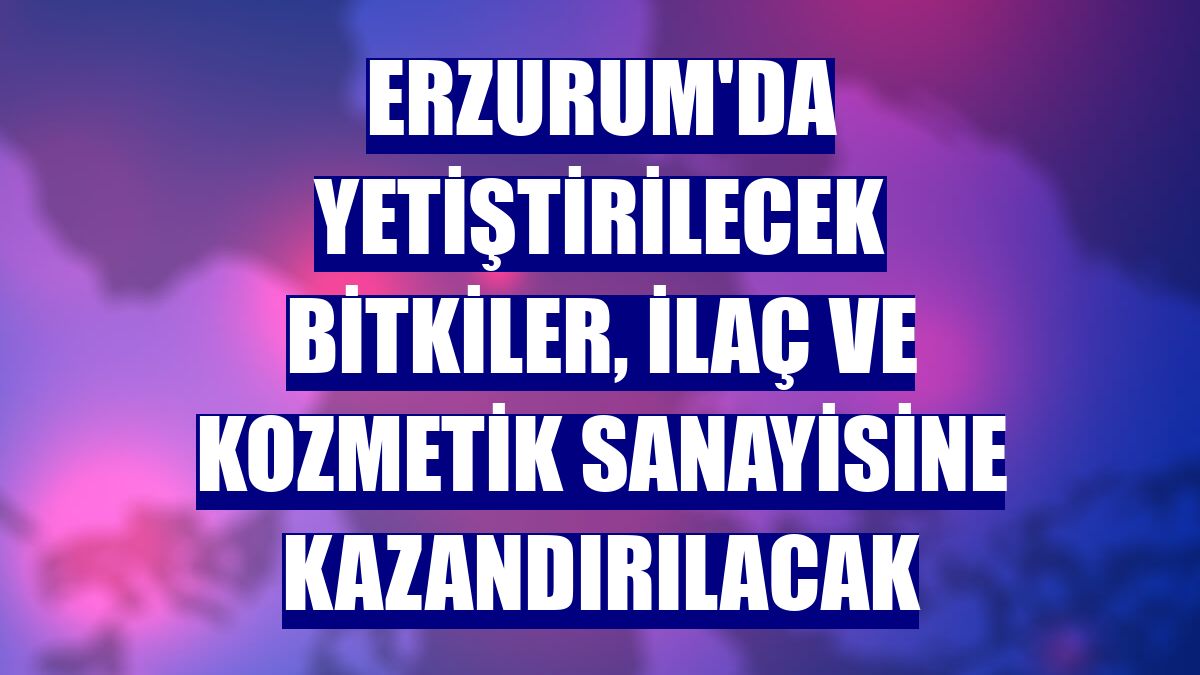 Erzurum'da yetiştirilecek bitkiler, ilaç ve kozmetik sanayisine kazandırılacak