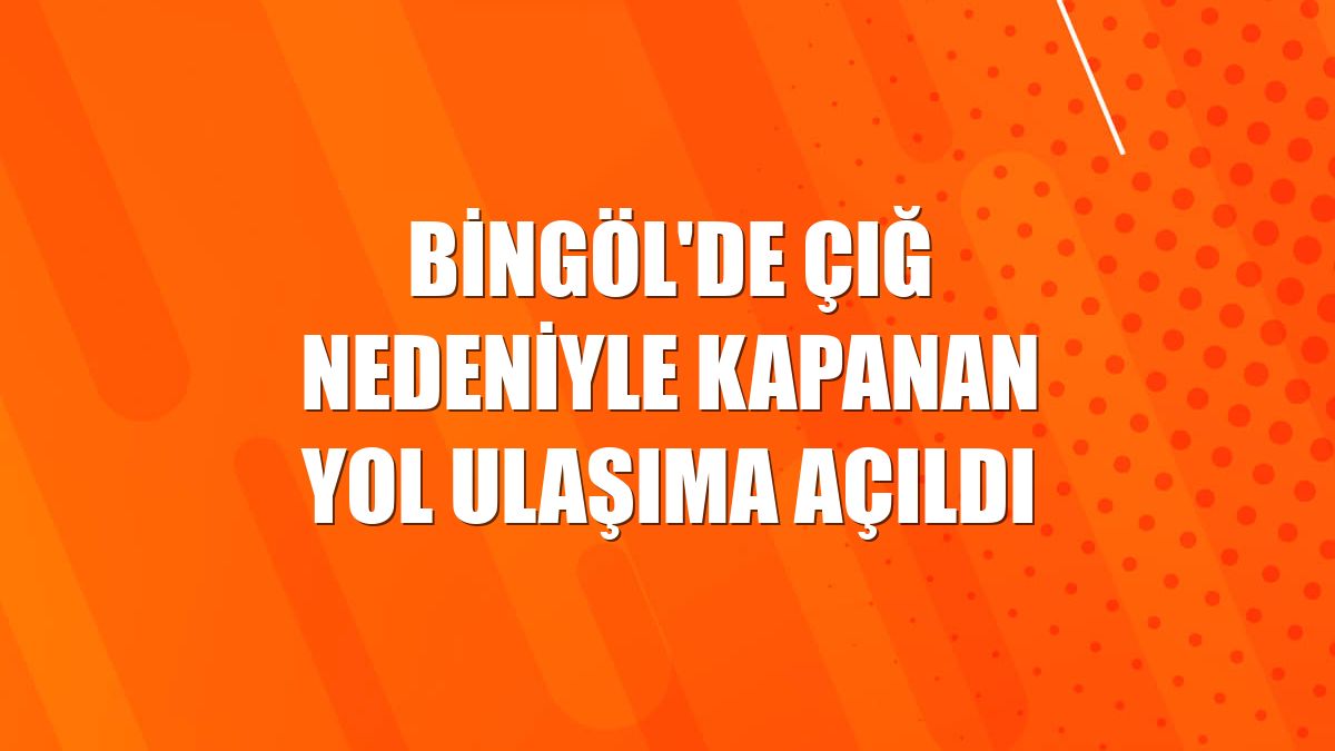 Bingöl'de çığ nedeniyle kapanan yol ulaşıma açıldı