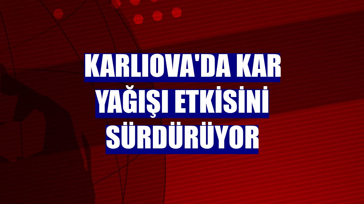 Karlıova'da kar yağışı etkisini sürdürüyor