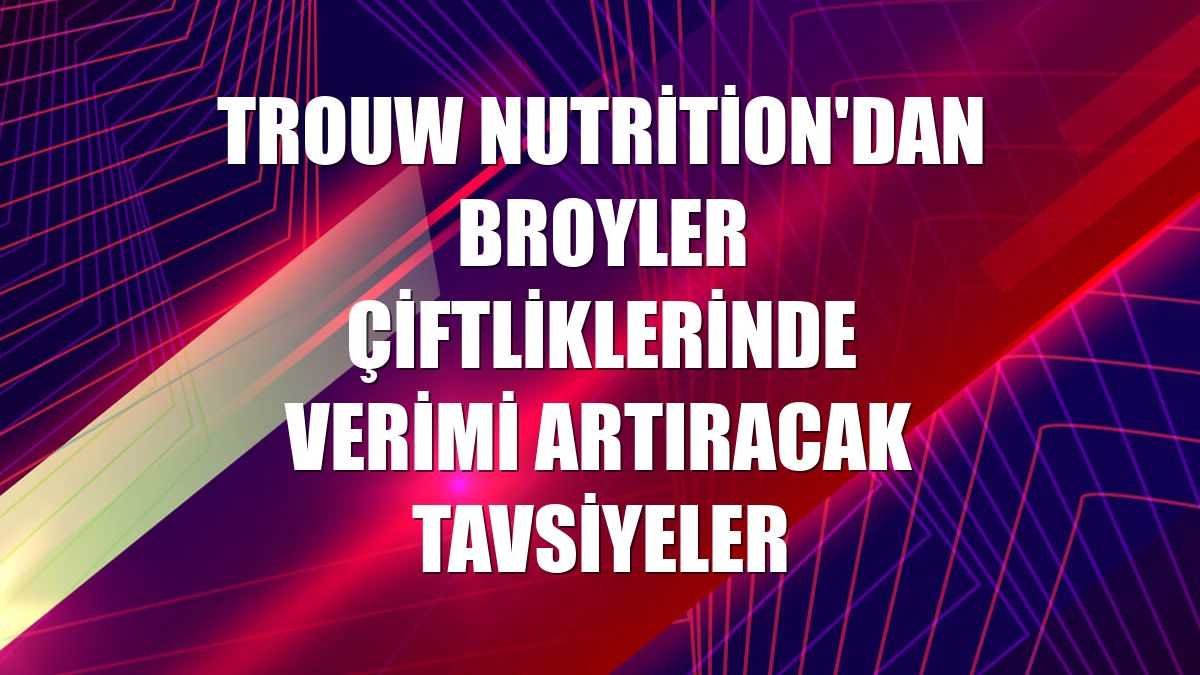 Trouw Nutrition'dan broyler çiftliklerinde verimi artıracak tavsiyeler