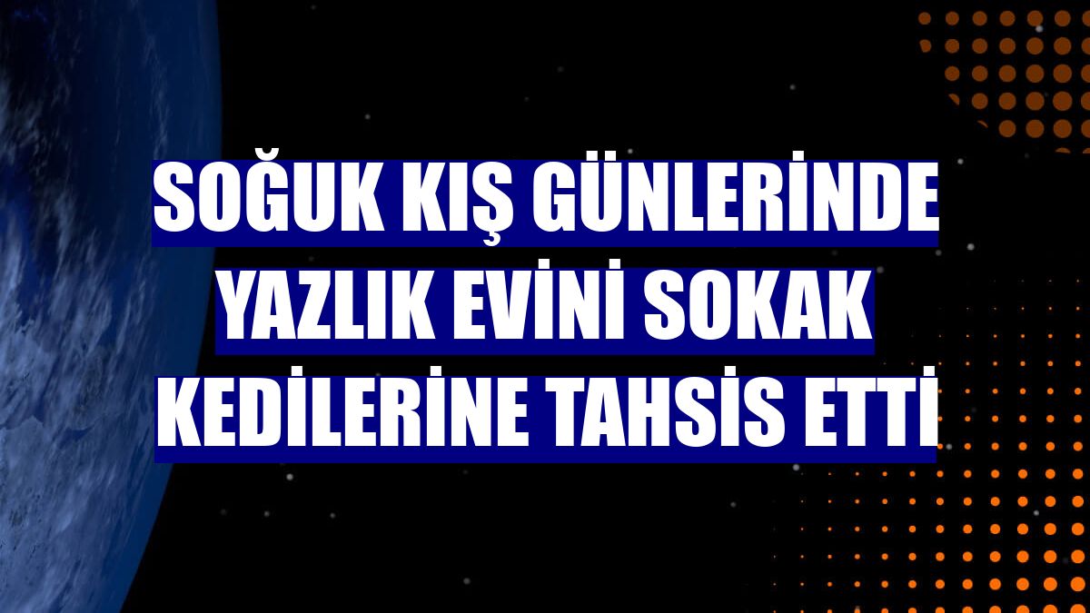 Soğuk kış günlerinde yazlık evini sokak kedilerine tahsis etti