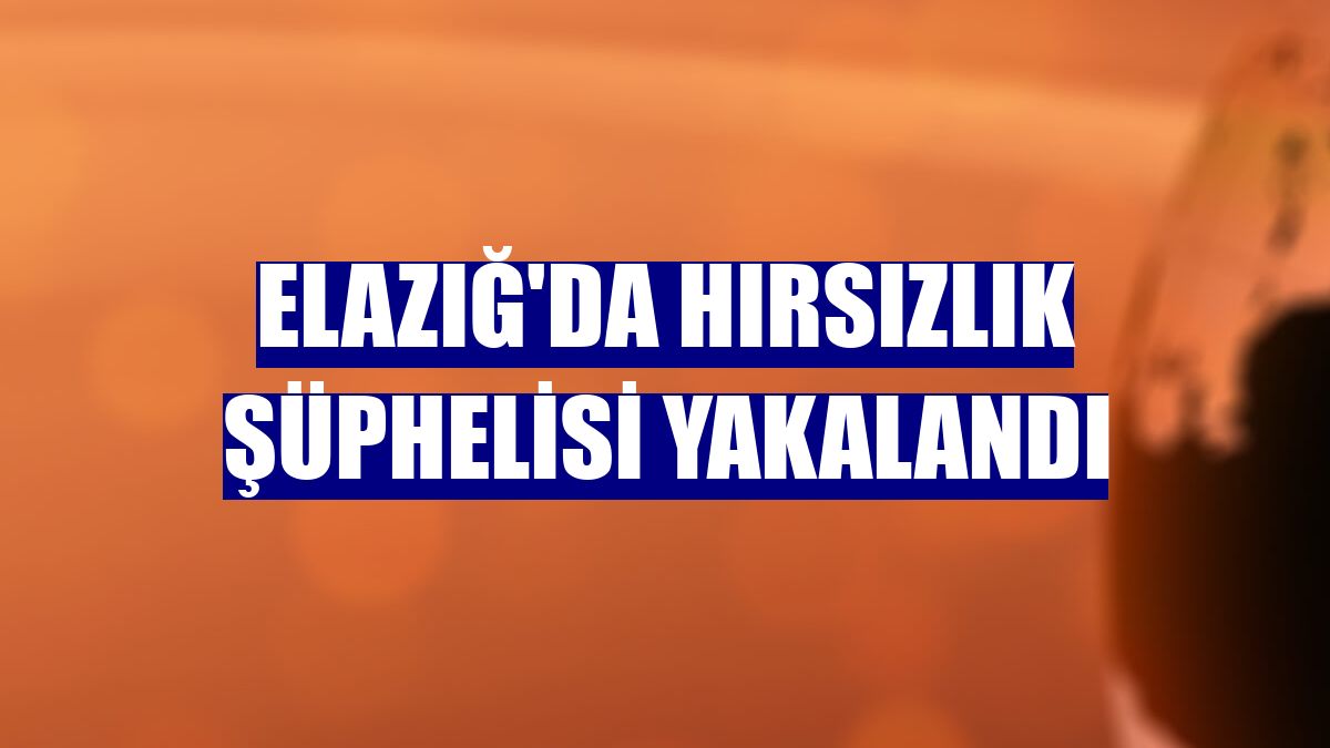 Elazığ'da hırsızlık şüphelisi yakalandı