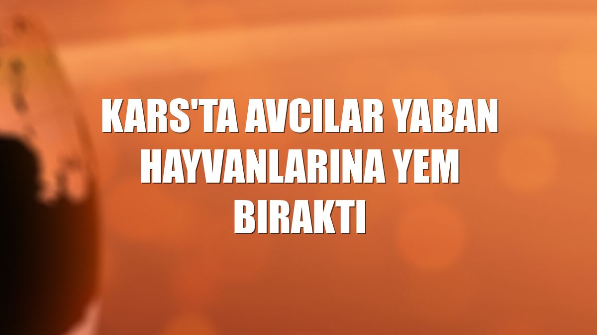 Kars'ta avcılar yaban hayvanlarına yem bıraktı
