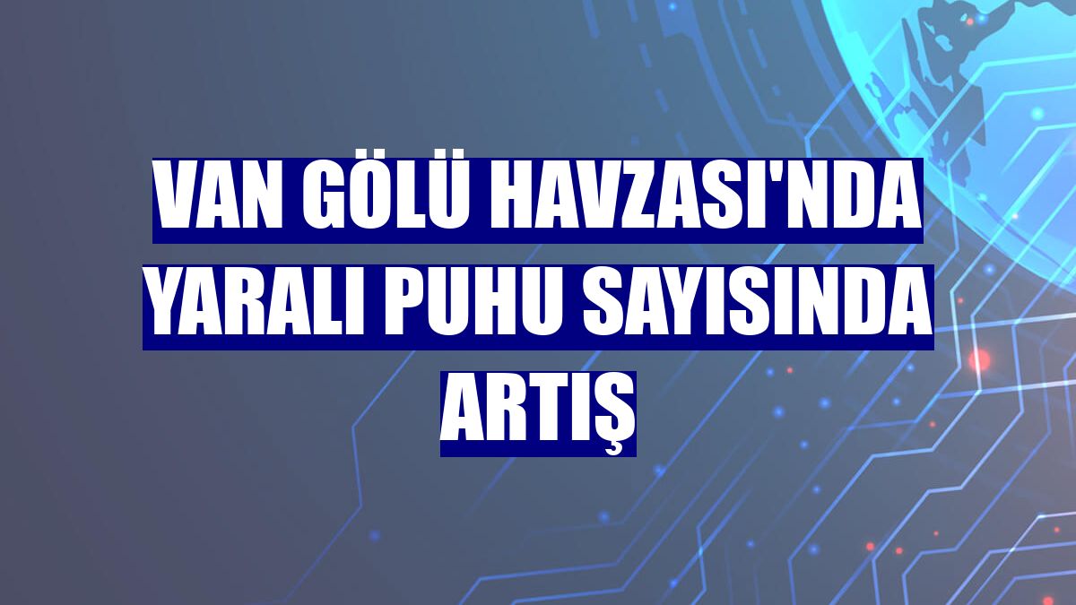 Van Gölü Havzası'nda yaralı puhu sayısında artış