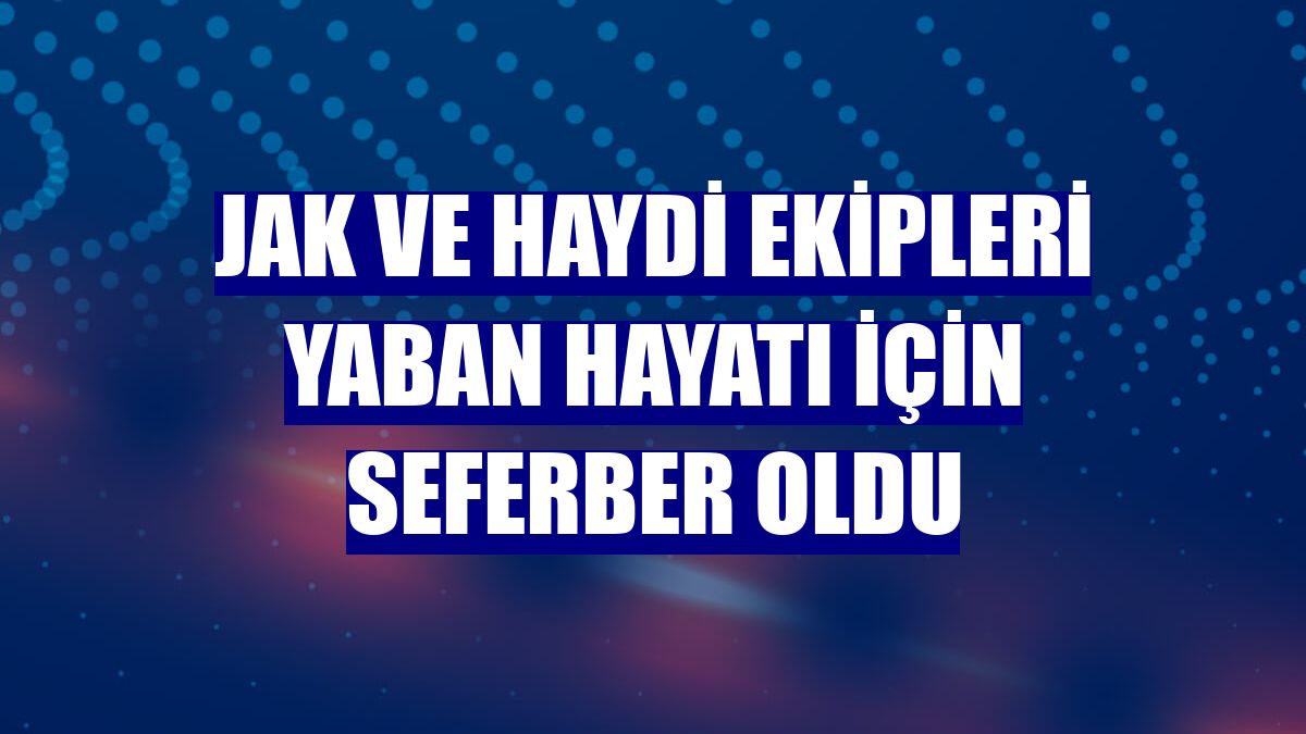 JAK ve HAYDİ ekipleri yaban hayatı için seferber oldu