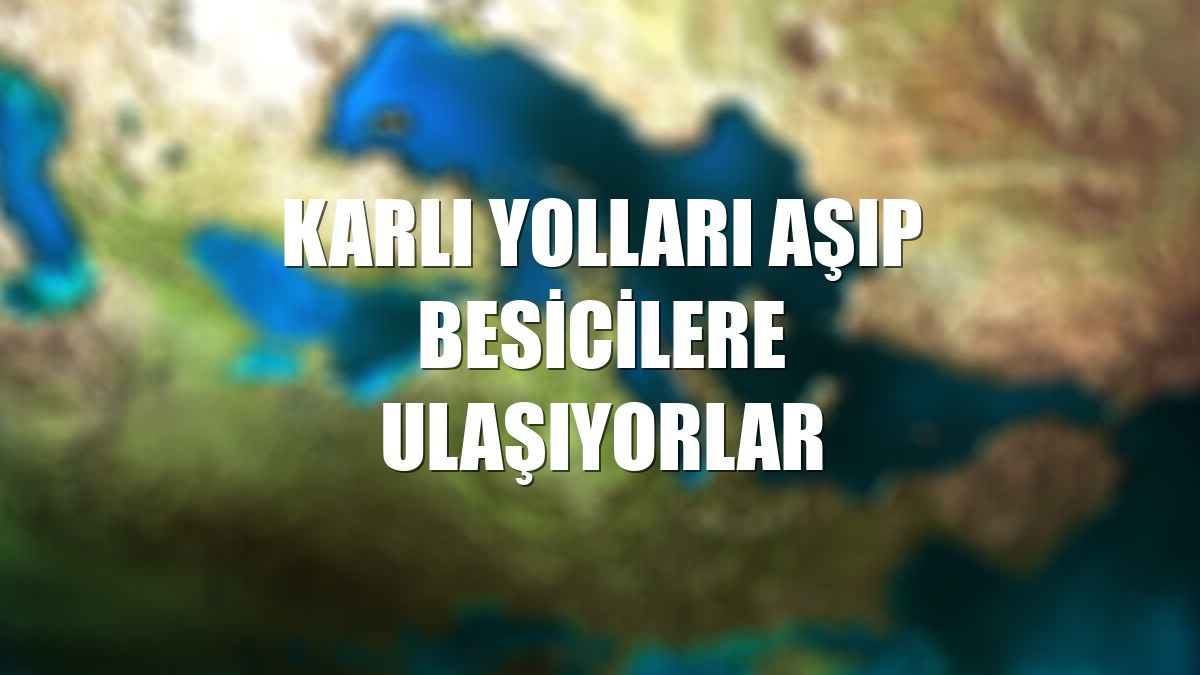 Karlı yolları aşıp besicilere ulaşıyorlar