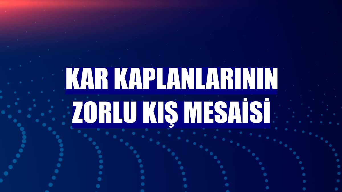 Kar kaplanlarının zorlu kış mesaisi