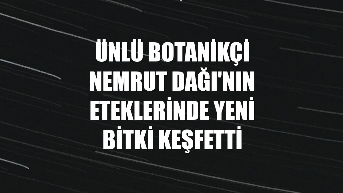 Ünlü botanikçi Nemrut Dağı'nın eteklerinde yeni bitki keşfetti