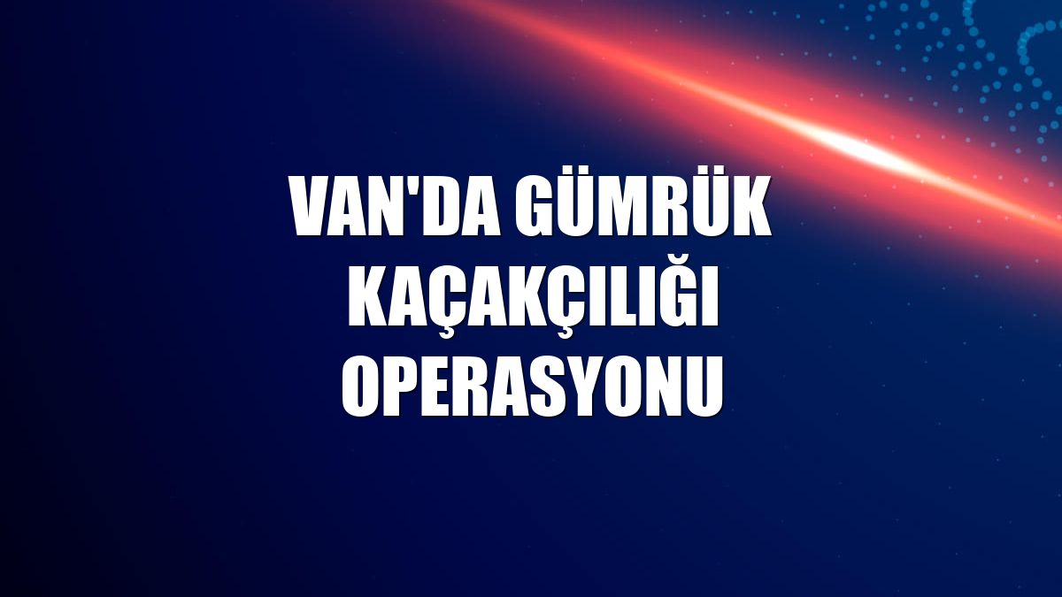 Van'da gümrük kaçakçılığı operasyonu