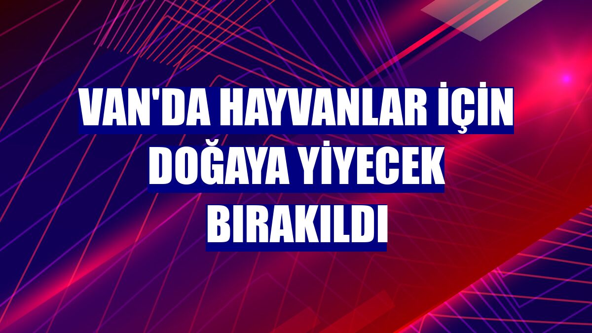 Van'da hayvanlar için doğaya yiyecek bırakıldı