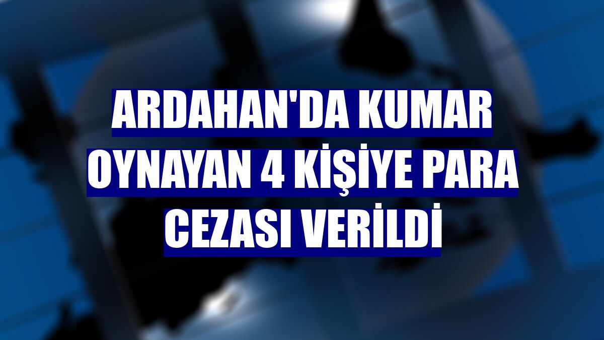 Ardahan'da kumar oynayan 4 kişiye para cezası verildi
