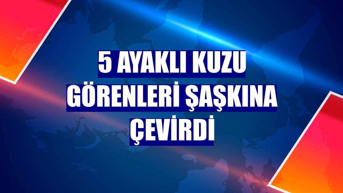 5 ayaklı kuzu görenleri şaşkına çevirdi