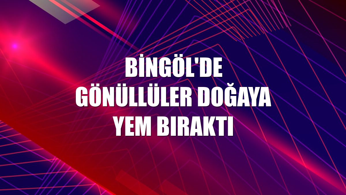 Bingöl'de gönüllüler doğaya yem bıraktı