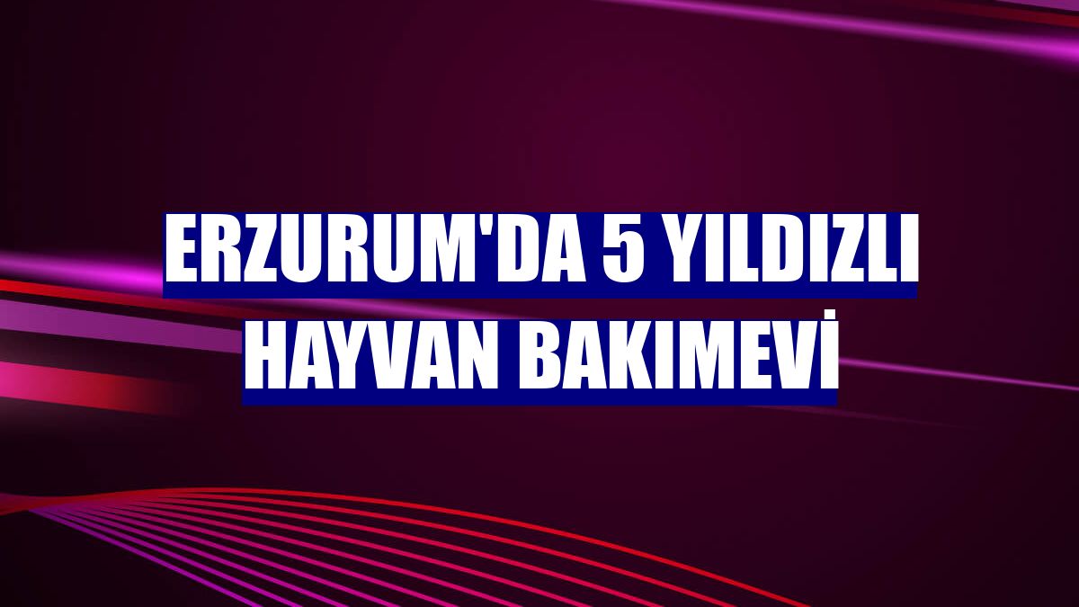 Erzurum'da 5 yıldızlı hayvan bakımevi