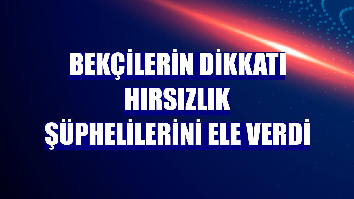Bekçilerin dikkati hırsızlık şüphelilerini ele verdi