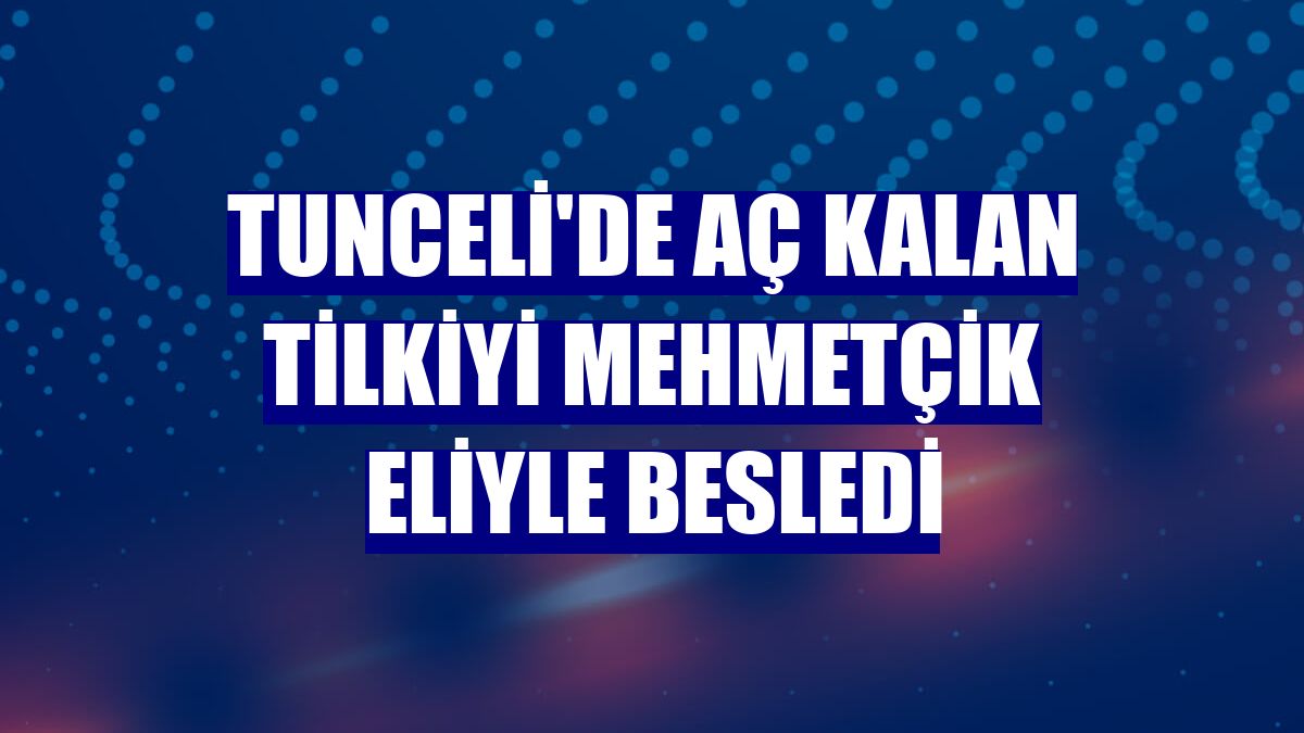 Tunceli'de aç kalan tilkiyi Mehmetçik eliyle besledi