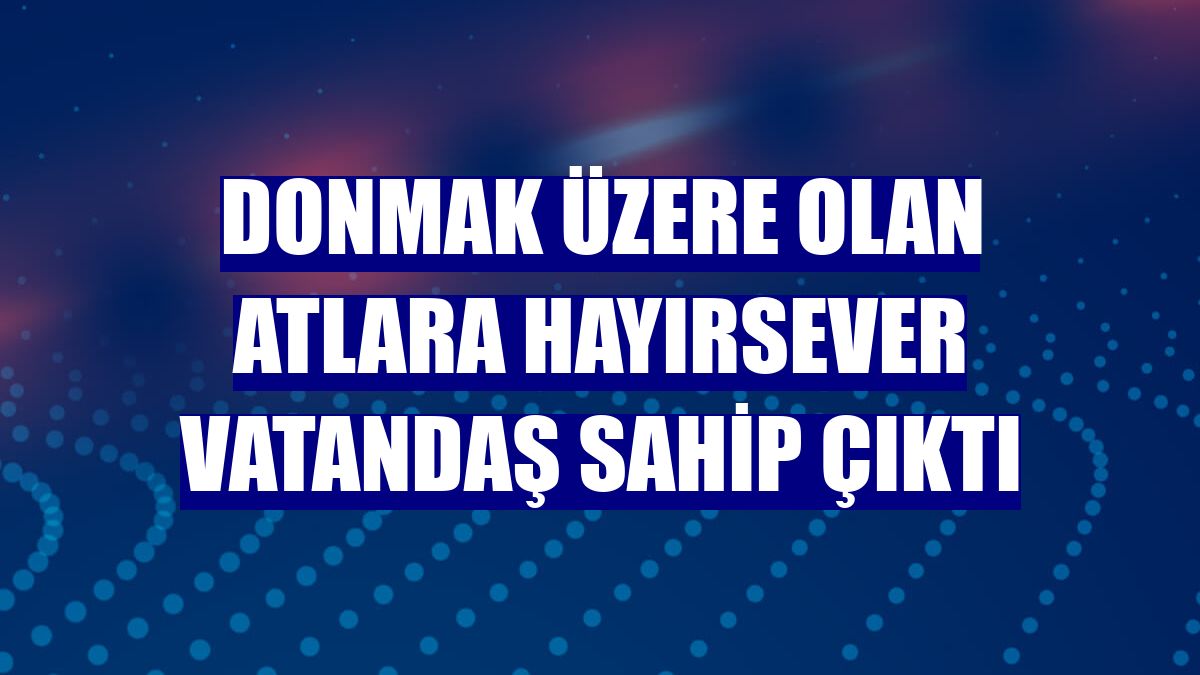 Donmak üzere olan atlara hayırsever vatandaş sahip çıktı