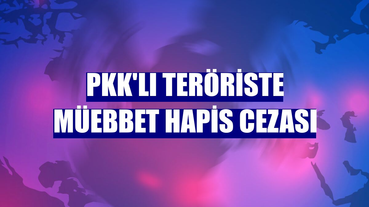 PKK'lı teröriste müebbet hapis cezası