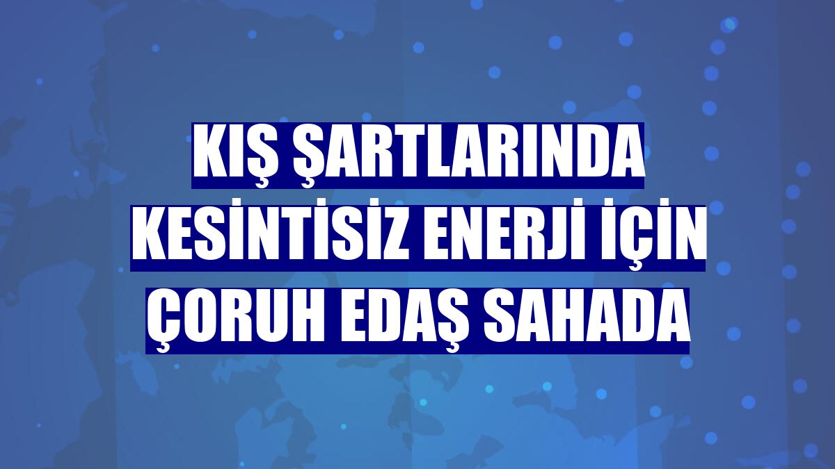 Kış şartlarında kesintisiz enerji için Çoruh EDAŞ sahada