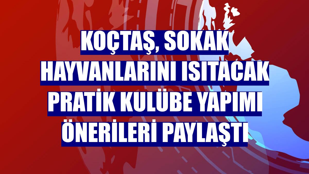 Koçtaş, sokak hayvanlarını ısıtacak pratik kulübe yapımı önerileri paylaştı