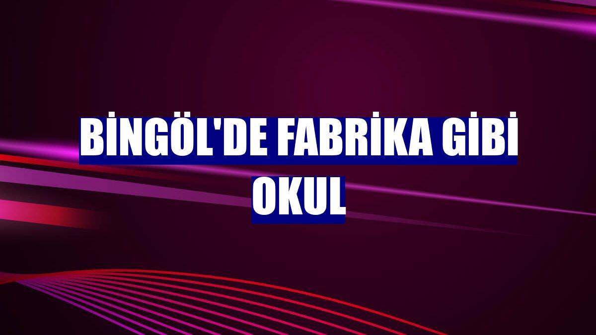 Bingöl'de fabrika gibi okul