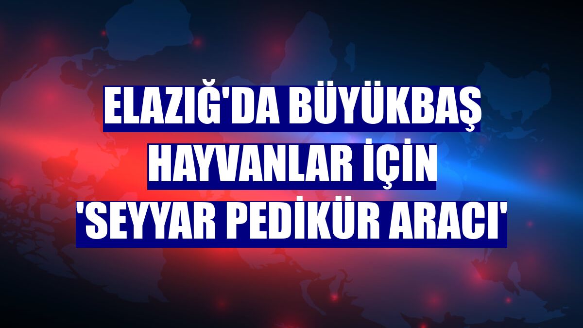 Elazığ'da büyükbaş hayvanlar için 'Seyyar pedikür aracı'