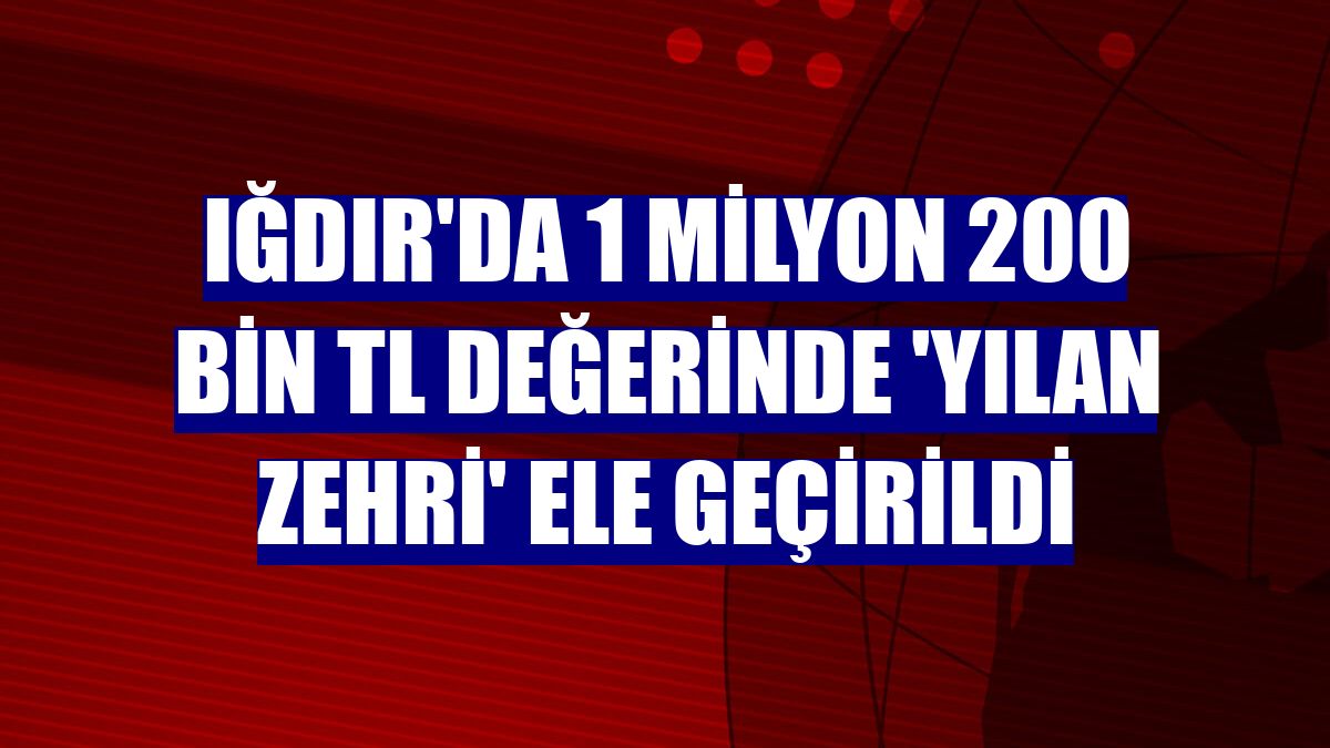 Iğdır'da 1 milyon 200 bin TL değerinde 'yılan zehri' ele geçirildi