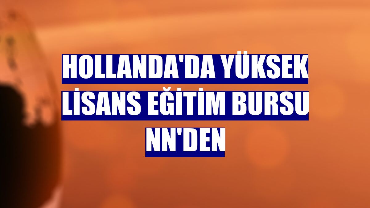 Hollanda'da yüksek lisans eğitim bursu NN'den