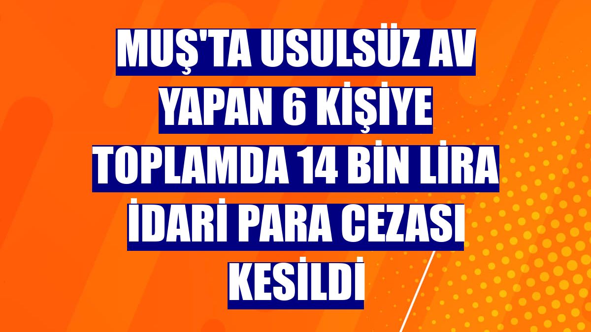 Muş'ta usulsüz av yapan 6 kişiye toplamda 14 bin lira idari para cezası kesildi