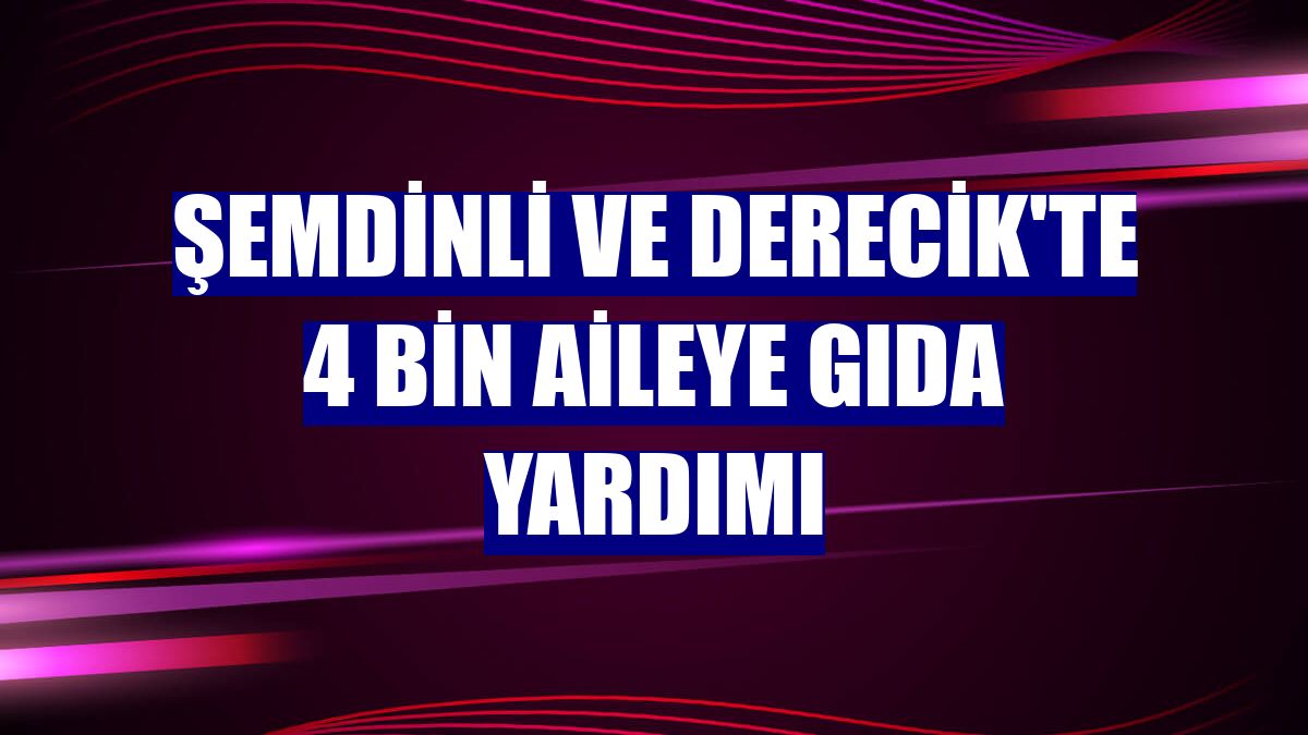 Şemdinli ve Derecik'te 4 bin aileye gıda yardımı