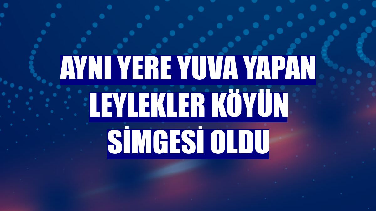 Aynı yere yuva yapan leylekler köyün simgesi oldu