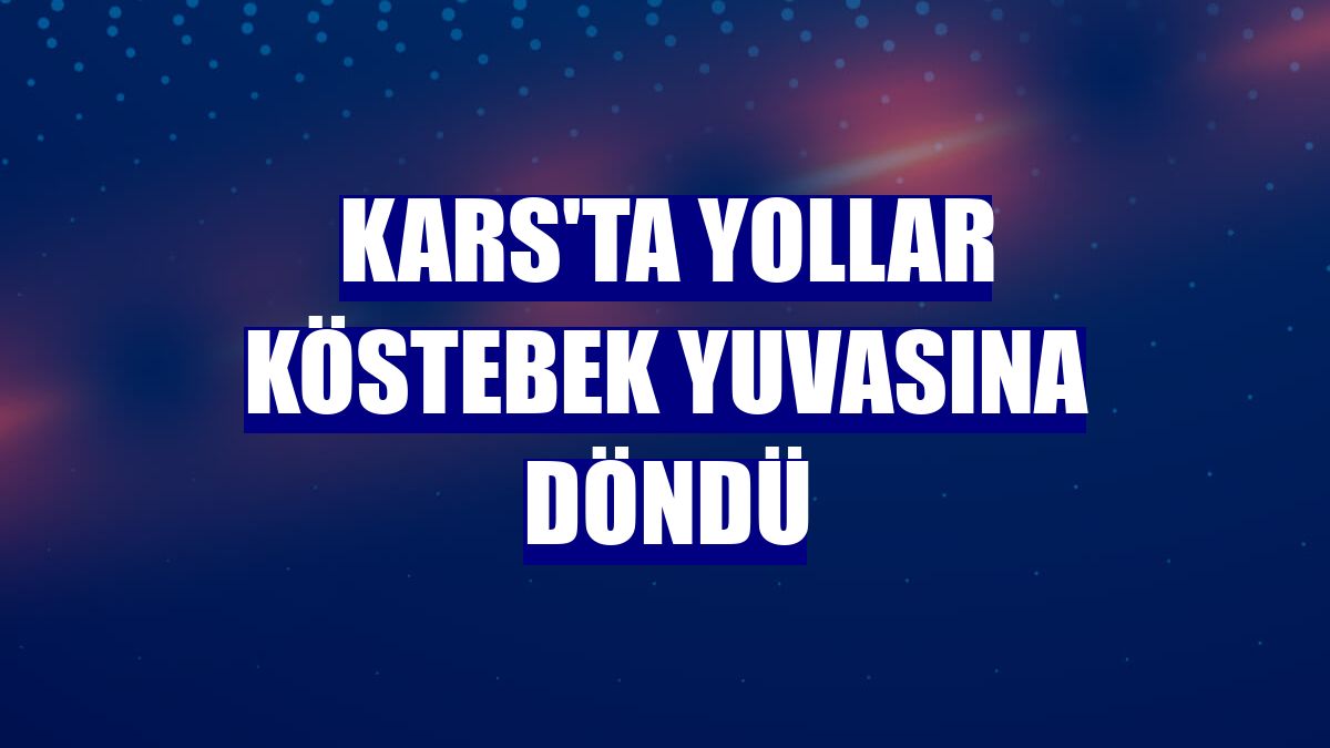 Kars'ta yollar köstebek yuvasına döndü
